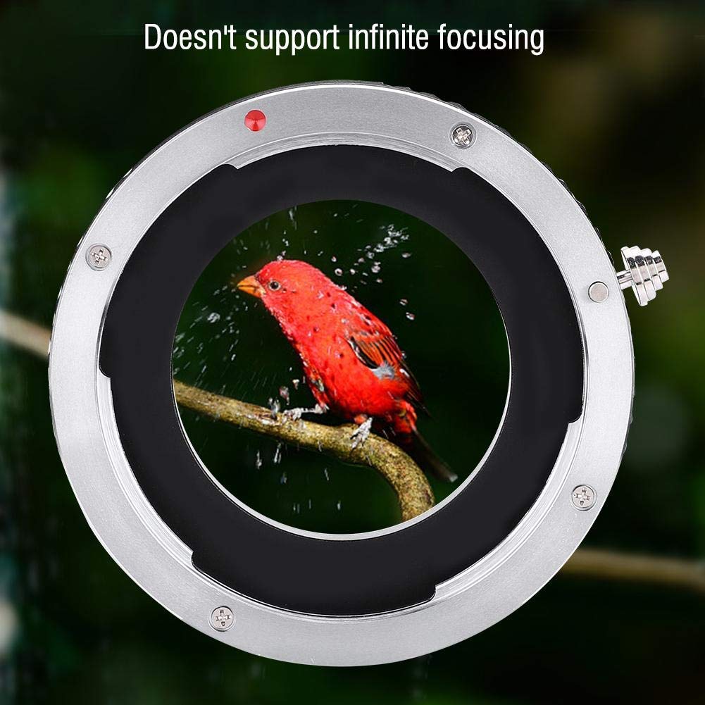 EBTOOLS pour Bague d'adaptation m42 vers Objectif EF Bague Adaptateur D'objectif -M42 pour Objectif de Monture EF/EF-S pour Appareil Photo à Monture M42