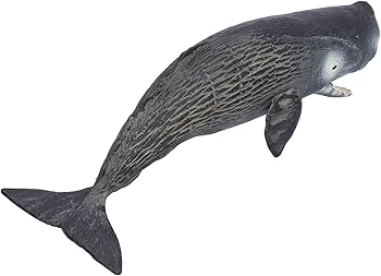 Amazon.co.jp: マッコウクジラ、クジラモデル海洋動物モデル動物