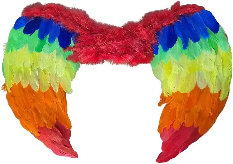 Asa De Anjo Colorido Fantasia Carnaval