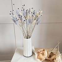 Vista 5 de 60 piezas de flores secas de cola de conejo, arreglo floral natural seco, ramo de decoración de hierba seca, flores eternas secas para el hogar