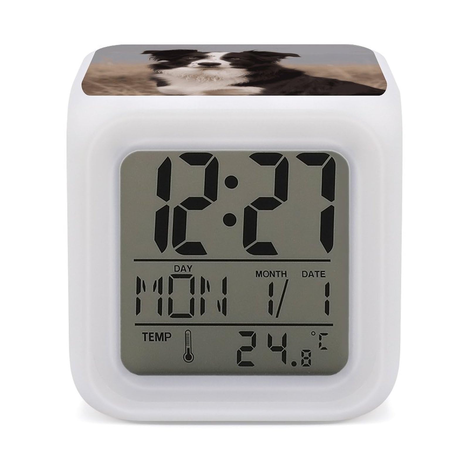 DWVTSLH Border Collie Alarm Clock with 7 Color Changing Night Light, Wake Up Digital Clock for Bedroom, Bedside Cube Clock with Date, Temperature, Battery Operated Desk Clock Gift