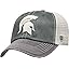 Michigan State