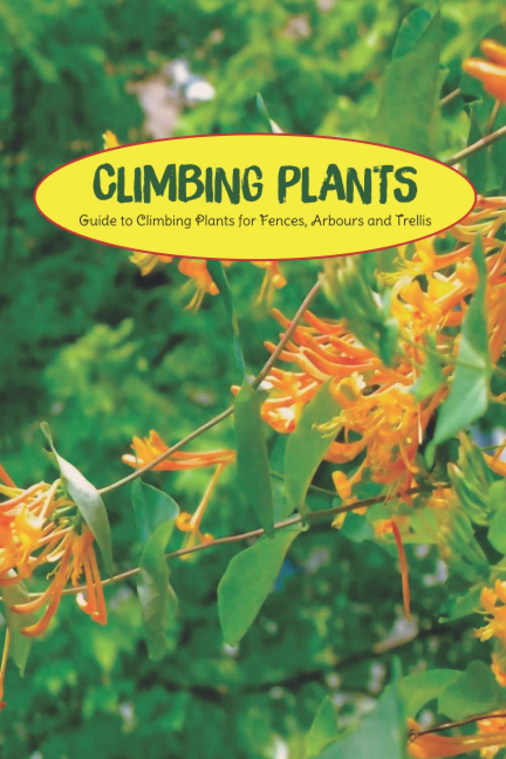 Buy Climbing s Guide to Climbing s for Fences, Arbours and Trellis
