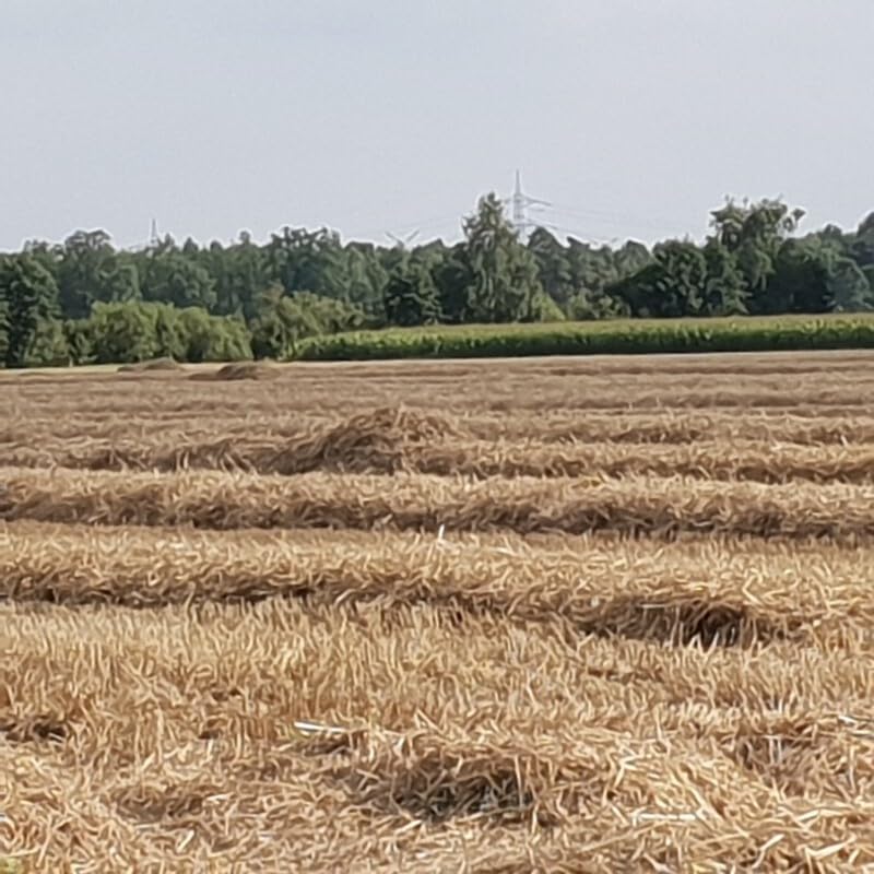 STROHKRANZ Ø 100 cm Strohringe Strohkranz Strohrömer Rohling Natur