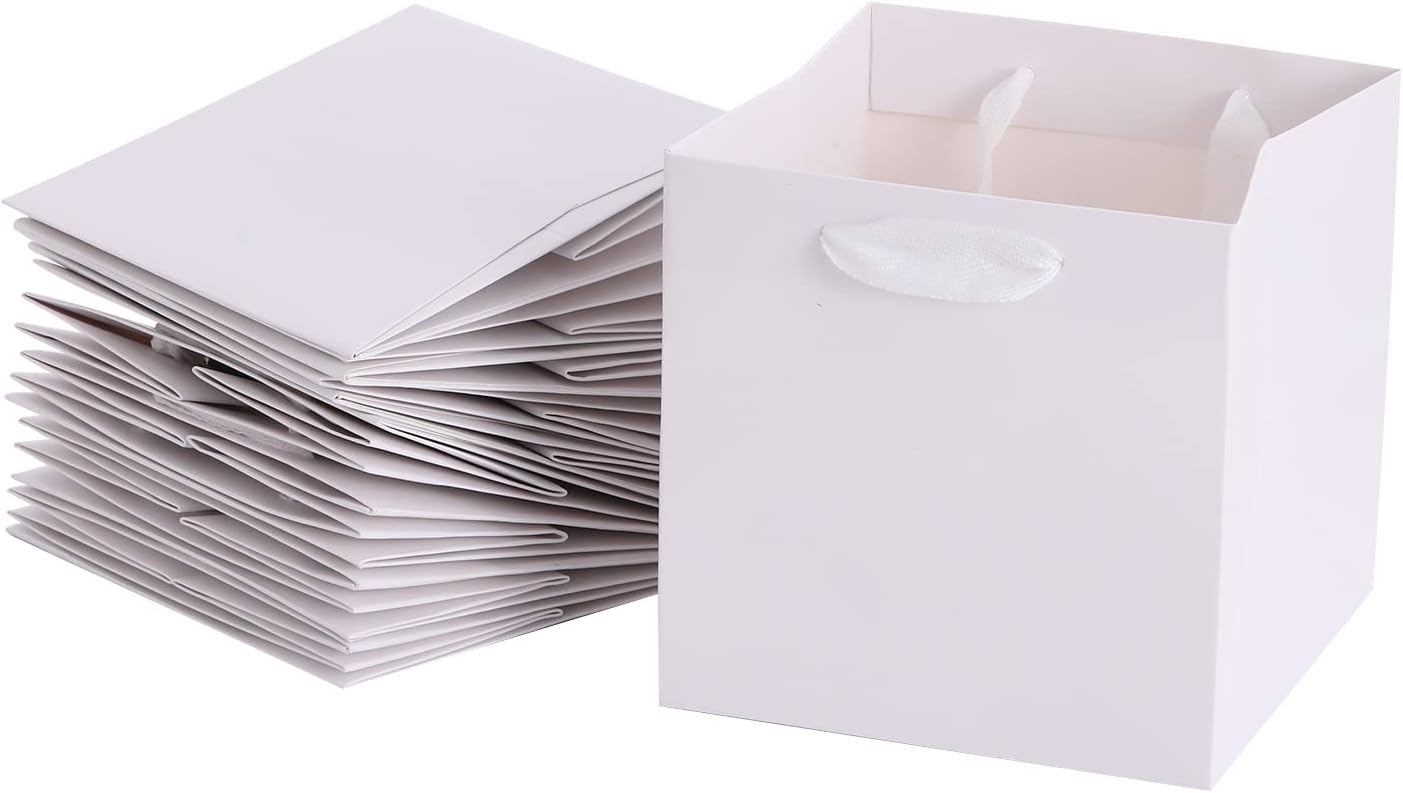REDDOTGIFT® 10-Pack Shopping Paper Bags White Square Base Plain Paper Bags 250gsm thickness paper bags with Ribbon Handle (15x15x15cm, White)