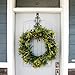 [Front Door WREATH HANGER] - Colonial Design | ADJUSTABLE Hook Length for Tall and Small Doors | PADDING to Prevent Damage like Scratch and Dents | Heavy Duty Cast Iron Metal Hangar - (Brown)