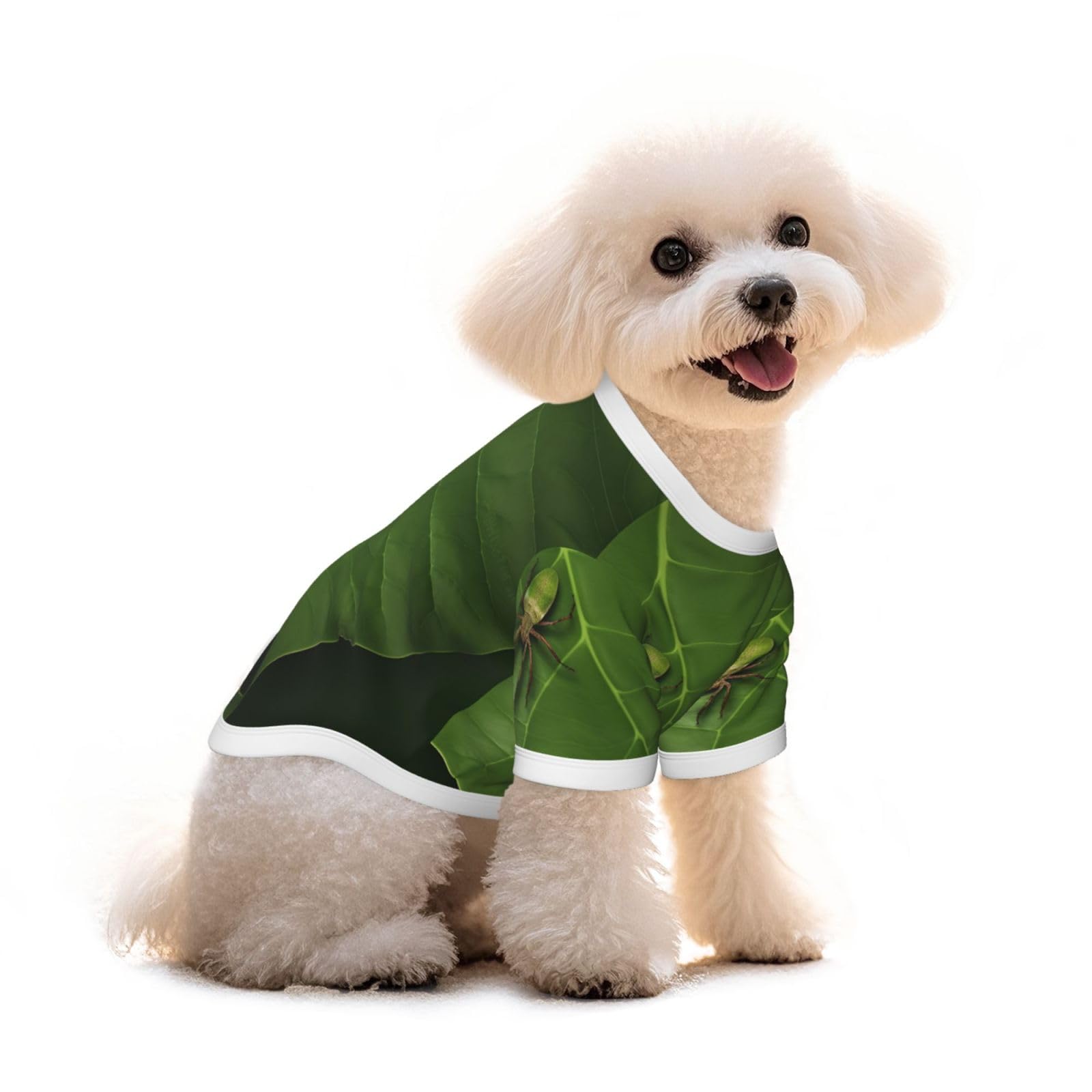 T-shirt pour chien Jadelegs idéal pour les balades du bouledogue français