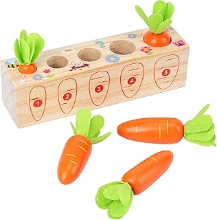 Montessori Toys for Toddlers 1-3, Carrots Shapes Sorting and Matching Game Wooden Toys, Fine Motor Skill Early Learning Preschool Educational Toys Gifts for 1 2 3 Year Old Boys Girls