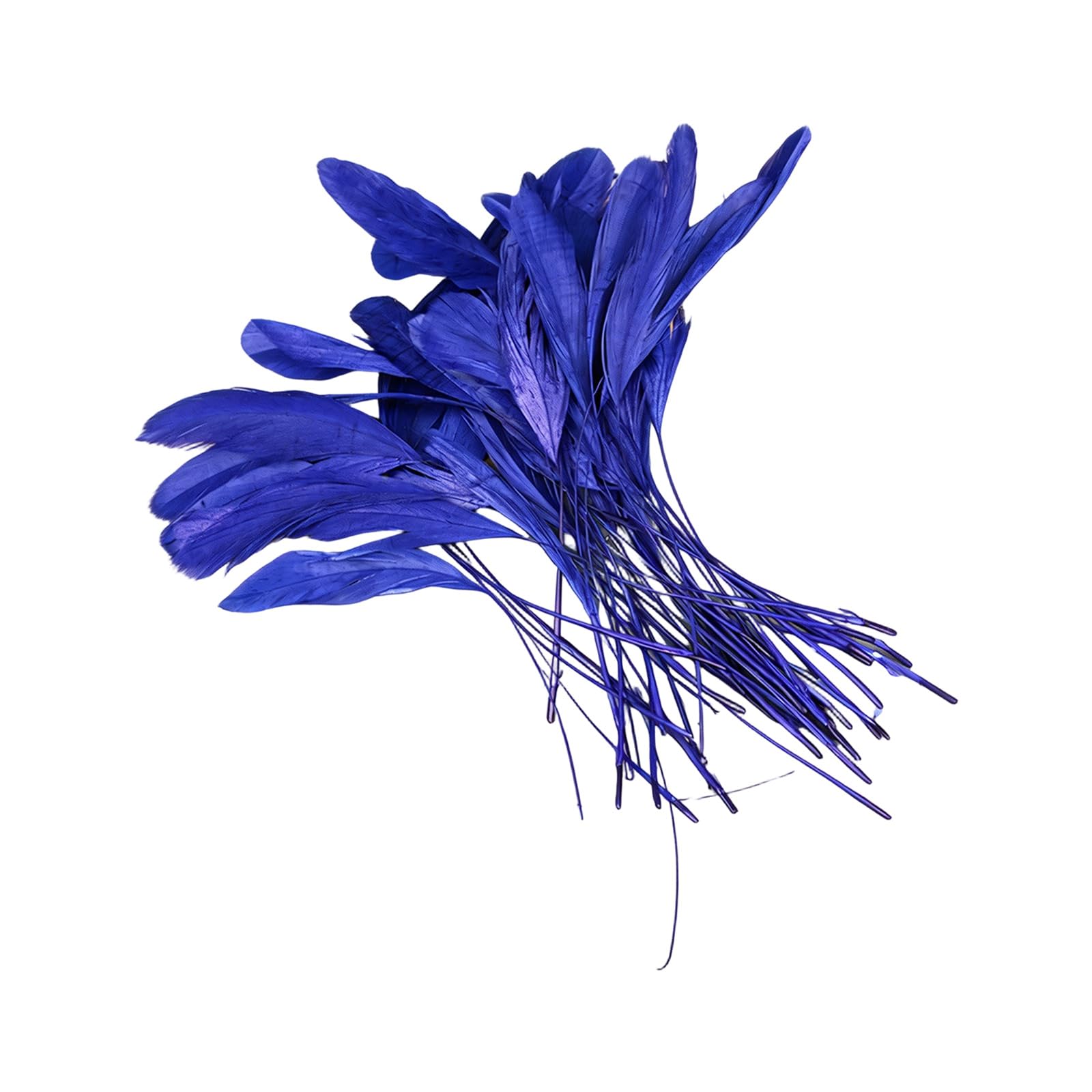 yanzunlrn Of 50 Multiple Color Plumage 12 18CM for Unique Costume Accessories and Event Decoration Long Craft Quills