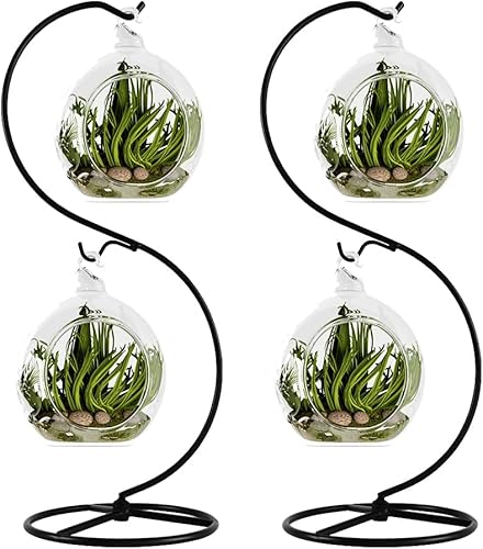 CXLE Soporte de exhibición de adornos, soporte de adorno de hierro para colgar globo de vidrio para plantas de aire, terrario, bola de bruja, adorno