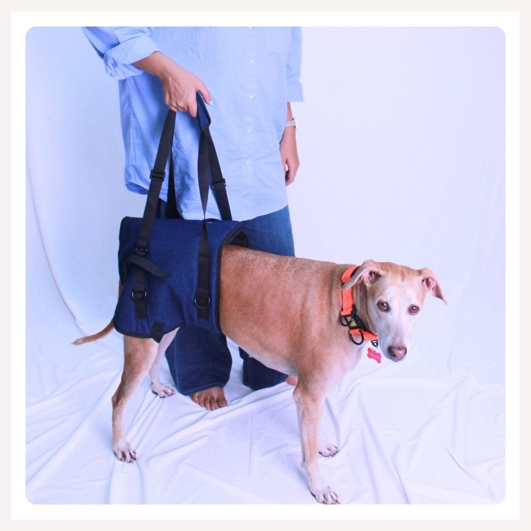 A+a Pets' Dog Lift Support Harness for Hind/Back Legs | for Disable Aged Injured Paralysed Arthritis Pets (Navy, L)