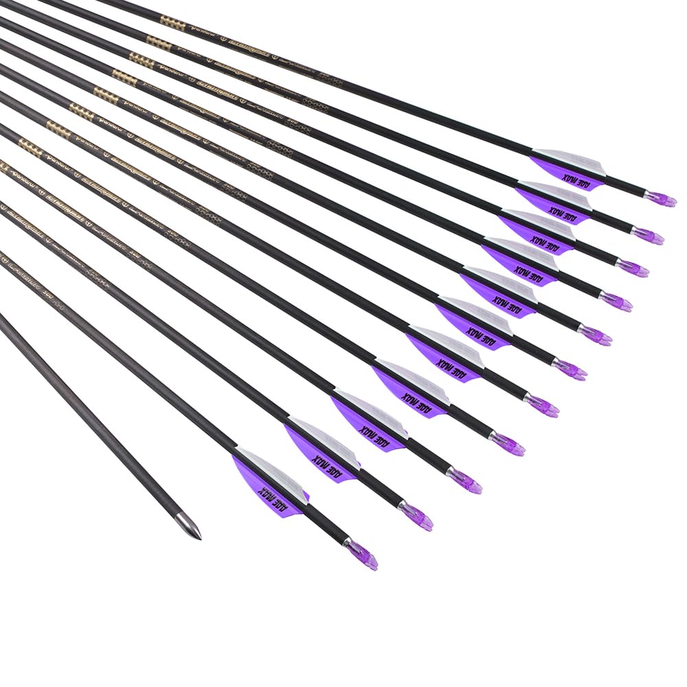 12 Pezzi Frecce da Competizione ID 4,2 mm Viola Bianco Scanalature per l'aria Piuma Freccia da Tiro con L'Arco Spine 300 400 500 600 700 800 900 1000 1100 1200 1300 1400 1500