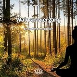  Waldspaziergang - Eine geführte Meditation