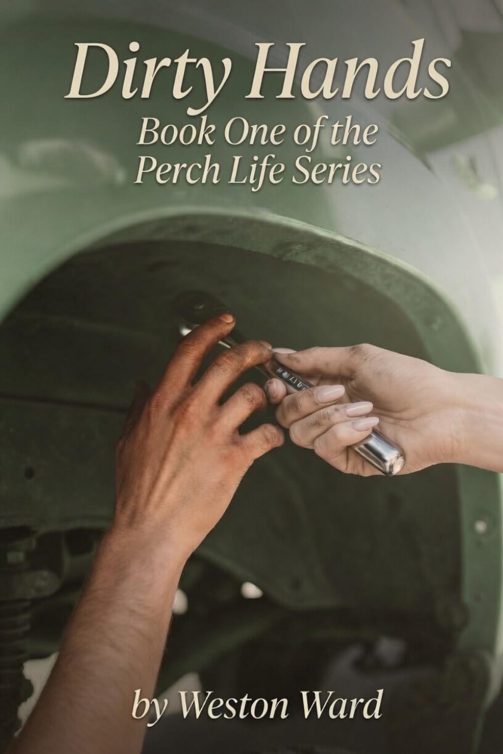 Dirty Hands: Book 1 of the Perch Life Series