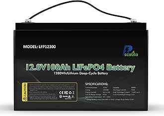 12V 100Ah LiFePO4 Built-in 100A BMS Rechargeable Lithium Battery, 5000-15000 Cycles, 1280Wh Lithium Battery for Trailer RV, Boats, Solar System, Trolling Motors, Energy Storage