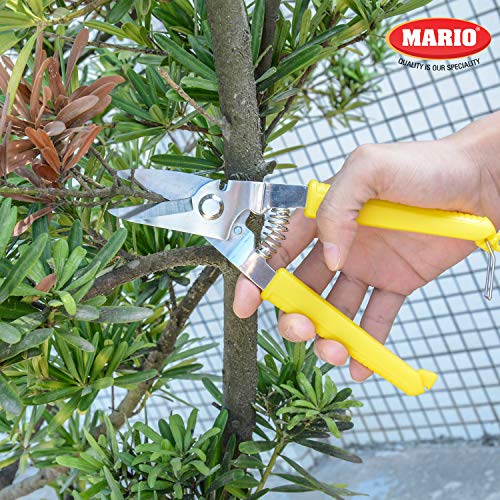 Image of Mario Scissors for Gardening /Purnning Work - 8.26 inch / 210 mm - Strong Cutting Scissors, Safe to Handel - Premium Stainless Steel Blade Scissors - MGS 701