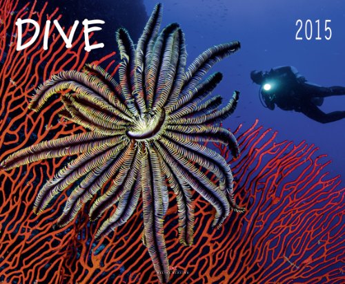 Dive 2015 Dive 2015
