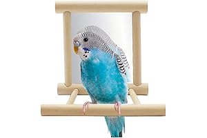 Hypeety Bird Mirror Toy Swing Hanging with Perch for Parrot Parakeet Budgies...