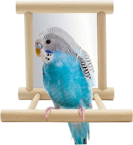 Hypeety Bird Mirror with Perch Parrot Swing Hanging Toy for