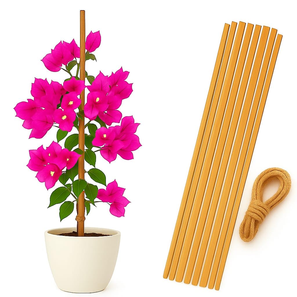 2feet Premium Natural Teak Wood Plant Support Sticks - Garden Sticks for Straightening Training and Supporting Plants - Strong and Durable Solution for Healthy Growth (15 pcs)-image-30
