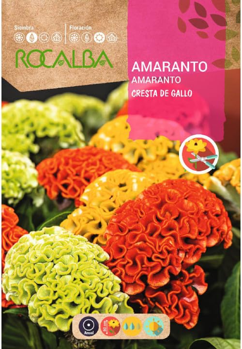 Semillas Amaranto, Cresta de Gallo Variado