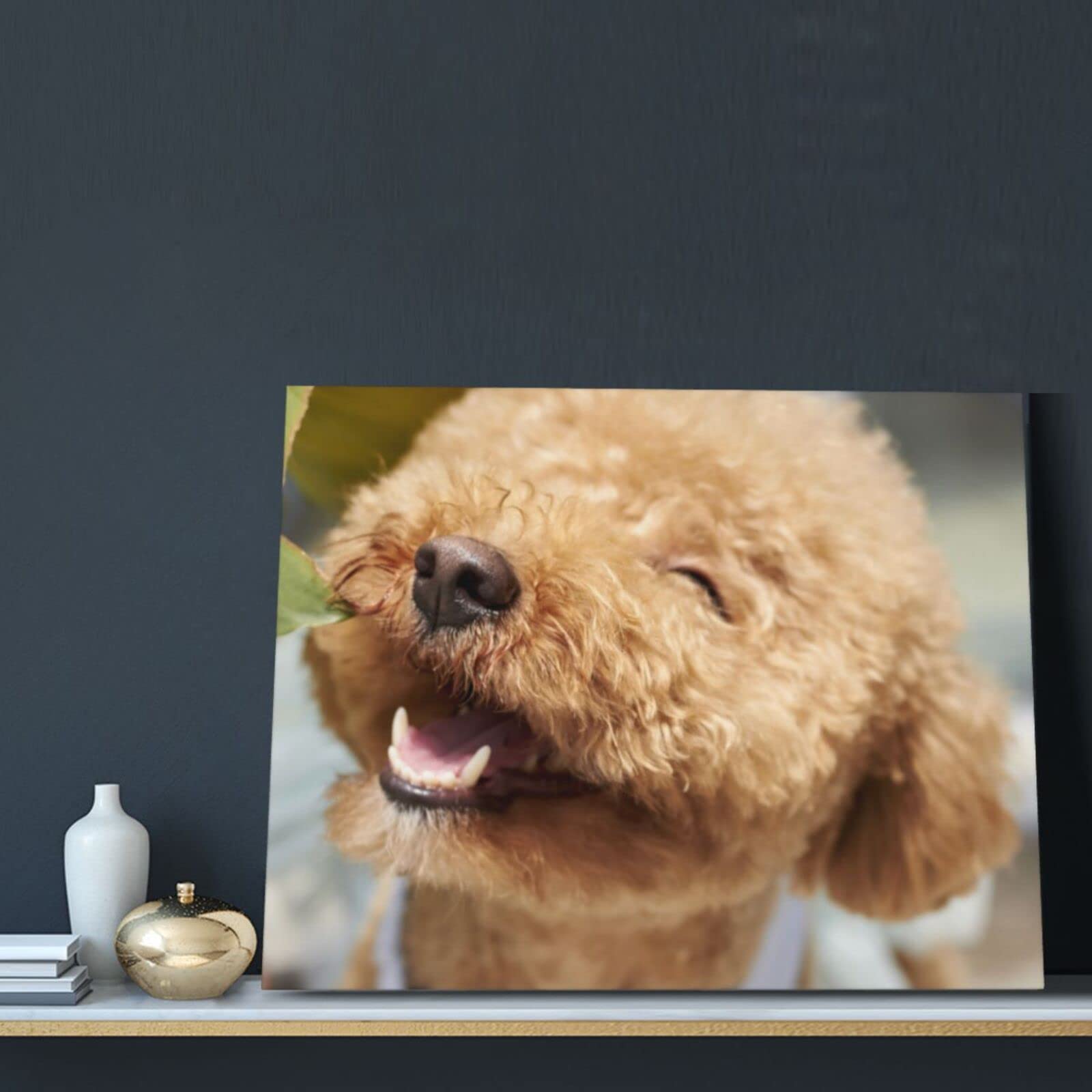 Amazon.co.jp: 笑うトイ・プードル ポスター アートパネル