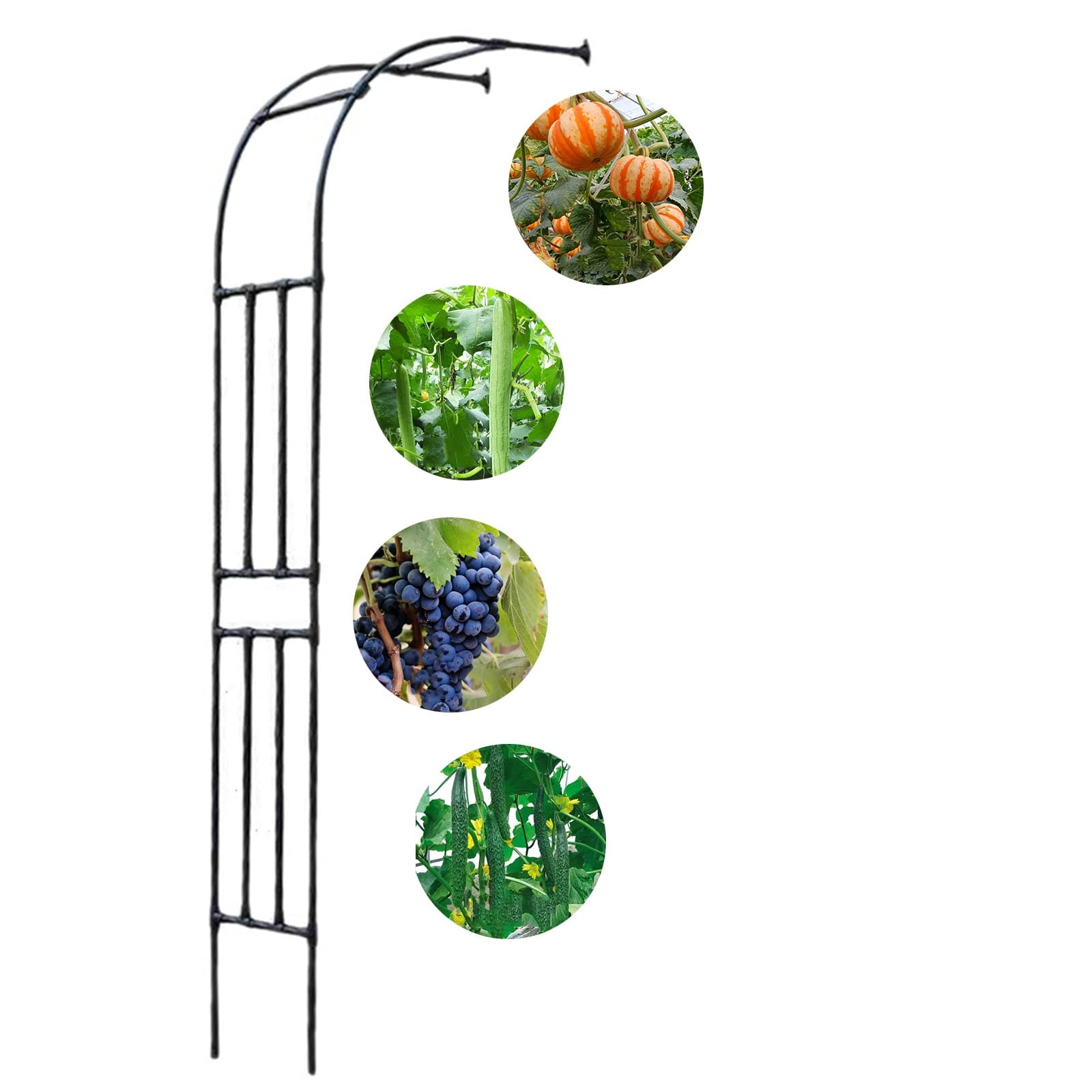 Arco de jardín de metal recubierto de zinc con acabado negro y diseño semicircular elegante