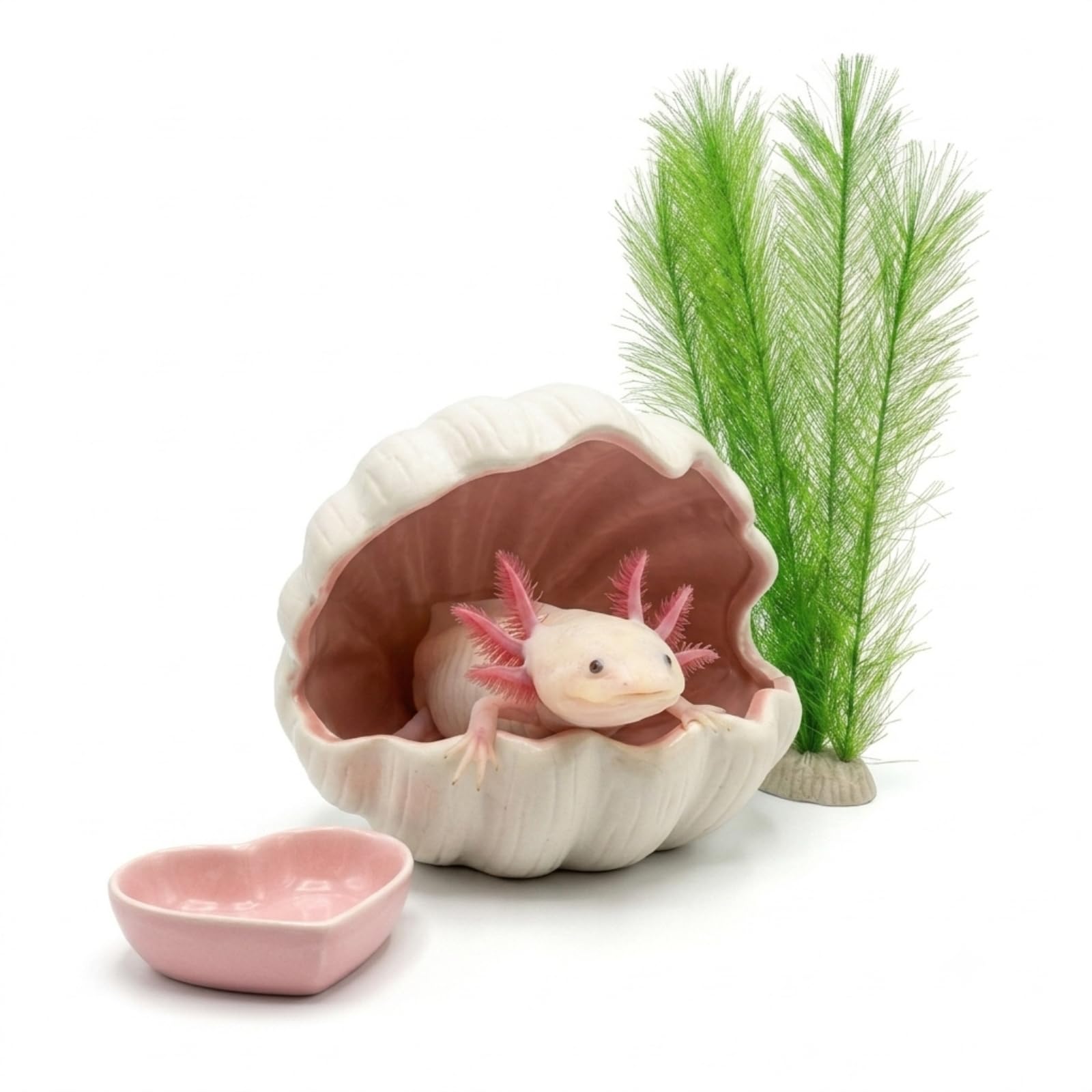Photo 1 of BEVINKATE Ceramic Shell Aquarium Hide with Feeding Bowl