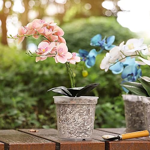 Truedays Clear Orchid Pot (6-Pack) - 6 Inch Orchid Pots With Holes - Plastic Plant Pots For Orchid, Plants, Flower #TOP1