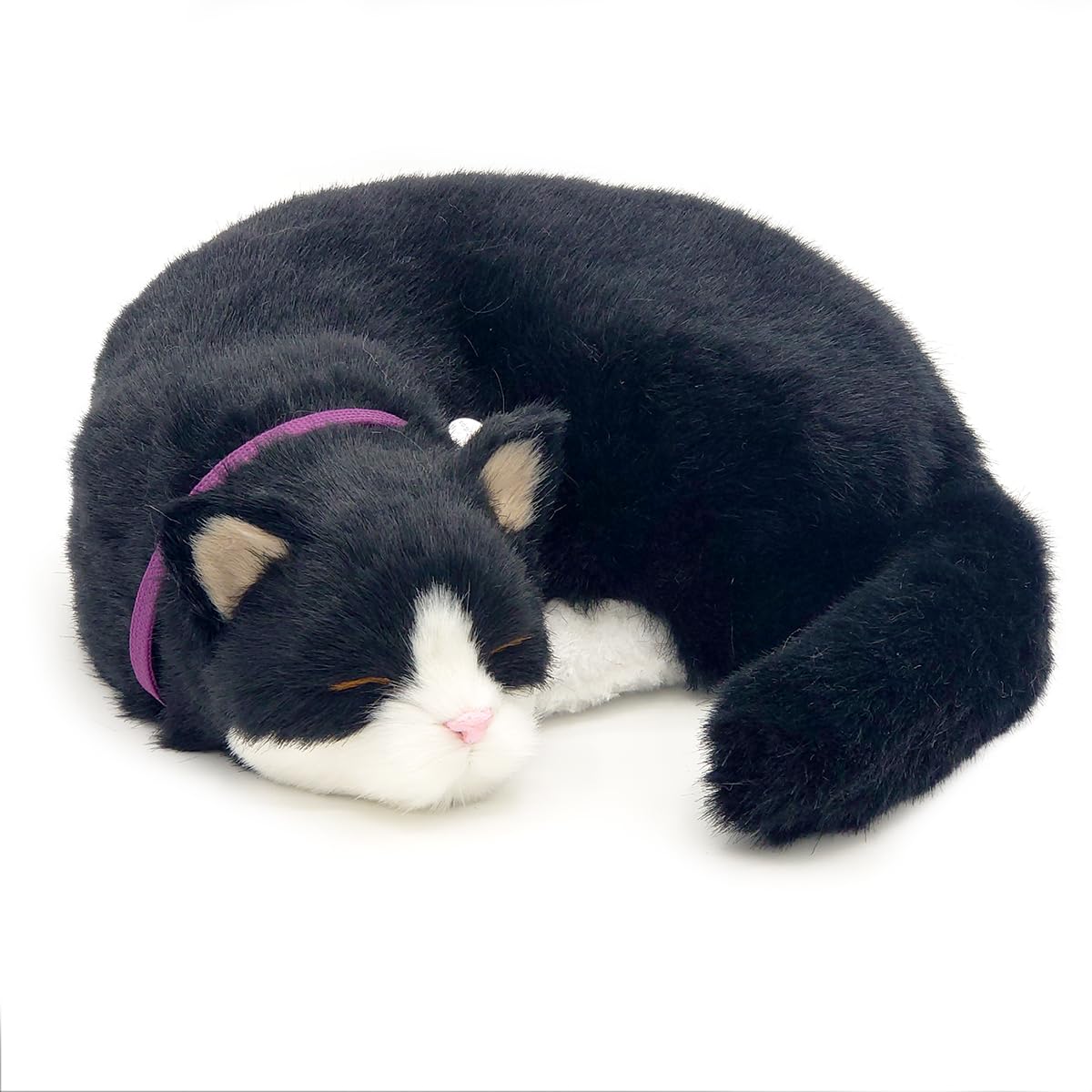 Amazon.co.jp: ニニアンドキノ パーフェクトペット (大サイズ