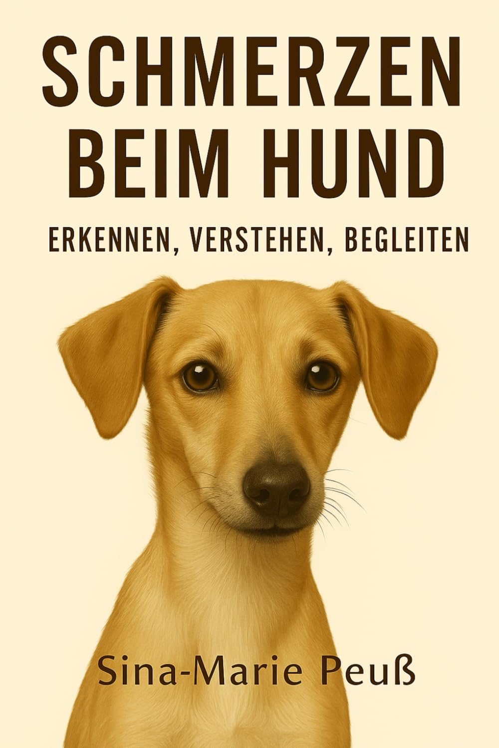 Schmerzen beim Hund: Erkennen, Verstehen, Begleiten