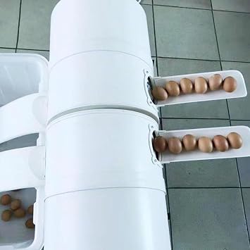 Electric Egg Washing Machine, Egg Washer Machine, Automatic Egg Washer Machine, 2300 Pcs/H Chicken Duck Goose Egg Egg Cleaner Wash Machine