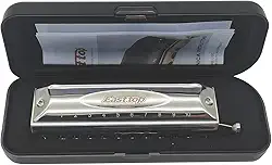 Gaita cromática T10-40 de 10 furos e 40 tons com tom puro e grosso, adequada para iniciantes, músicos profissionais, adultos, estudantes. Instrumentos de piano para adultos.