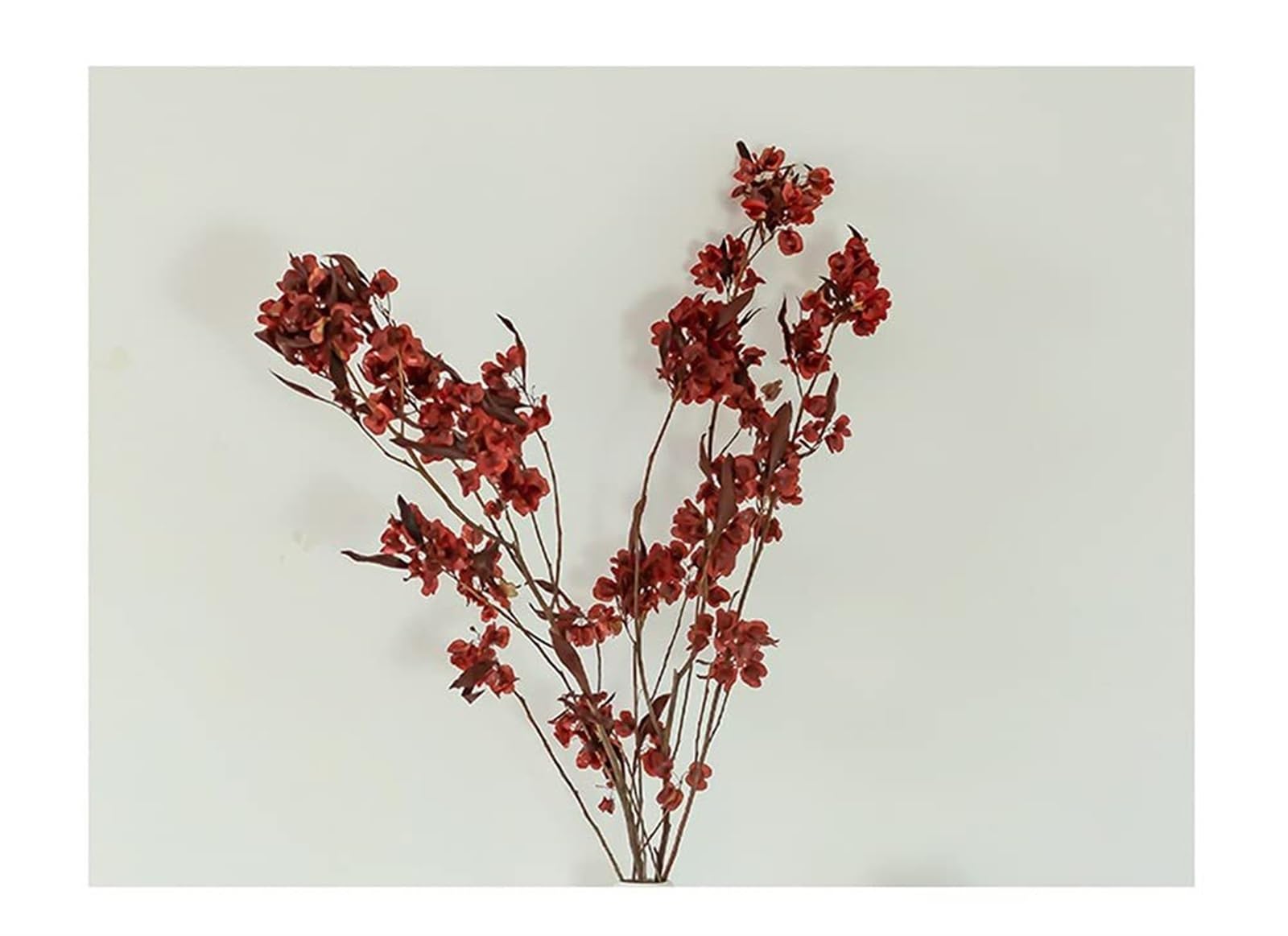 Pensées séchées Fleurs Iris Rouge Bouquet de Fleurs séchées Plante Naturelle Fleurs séchées Maison Hôtel Fête de Mariage Vacances Arrangement Floral Décoration