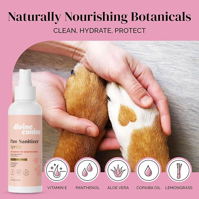 Image of Dog Paw Cleaner Spray - Rosewater No-Rinse Wash - 5.1 Fl Oz | Alcohol-free rosewater dog paw cleaner spray with aloe, copaiba & lemongrass for sensitive paw pads - no rinse wash