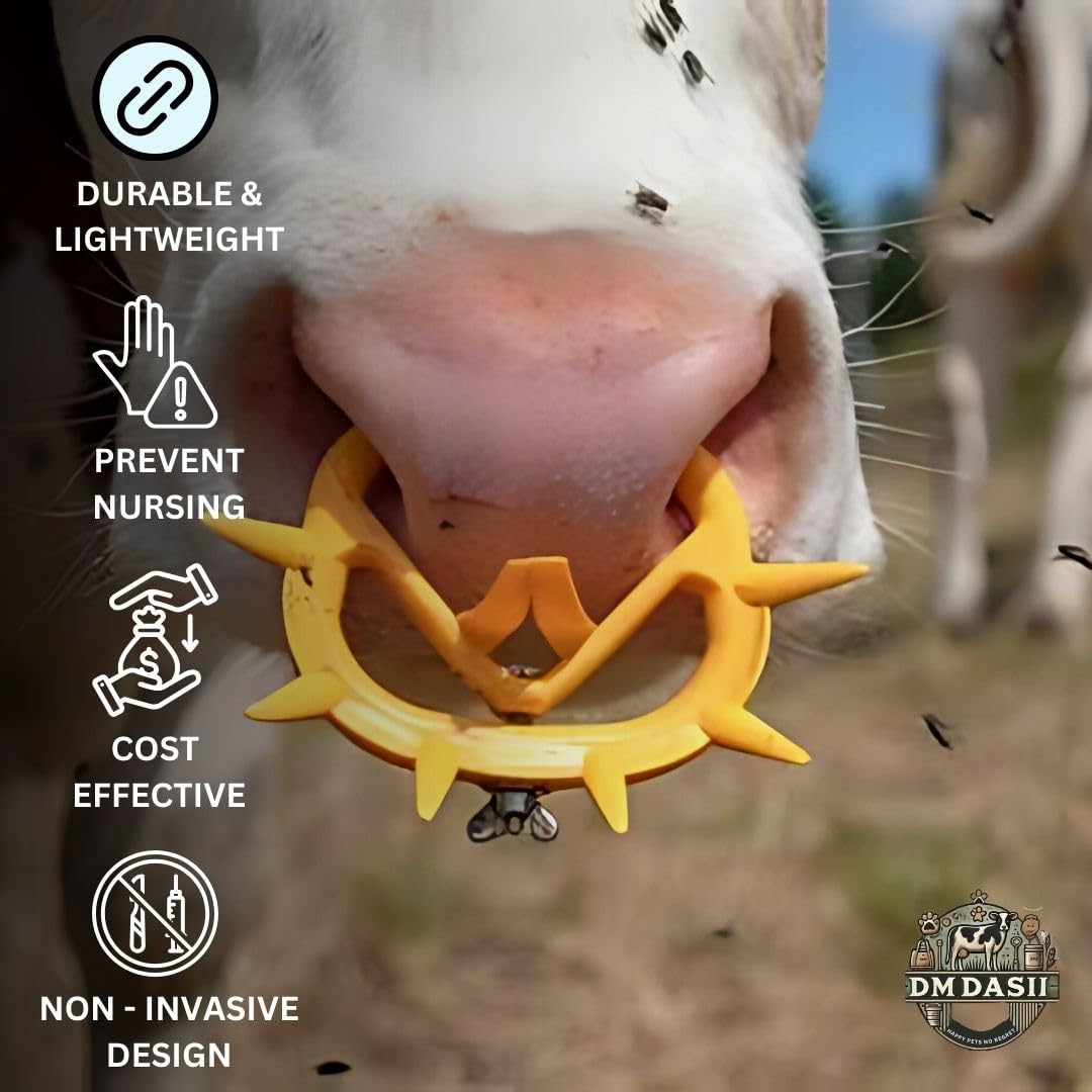 Cattle Weaning Nose Ring - Safe & Humane -3 Cattle Weaning Nose Ring - Safe & Humane -3