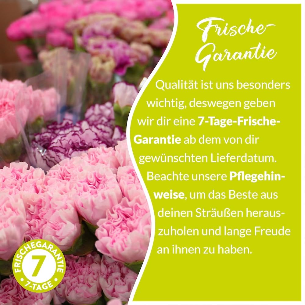 Blumenstrauß Farbenfroh, Bunte Blumen versenden, handgebunden mit 7-Tage-Frische-Garantie, Gerbera, Rosen, Nelken, Chrysanthemen und Inkalilien, Blumenversand
