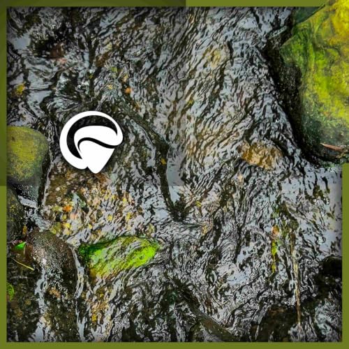 2 Hours of Healing Guitar for Anxiety with Stream Sounds - "Endless Skyway"