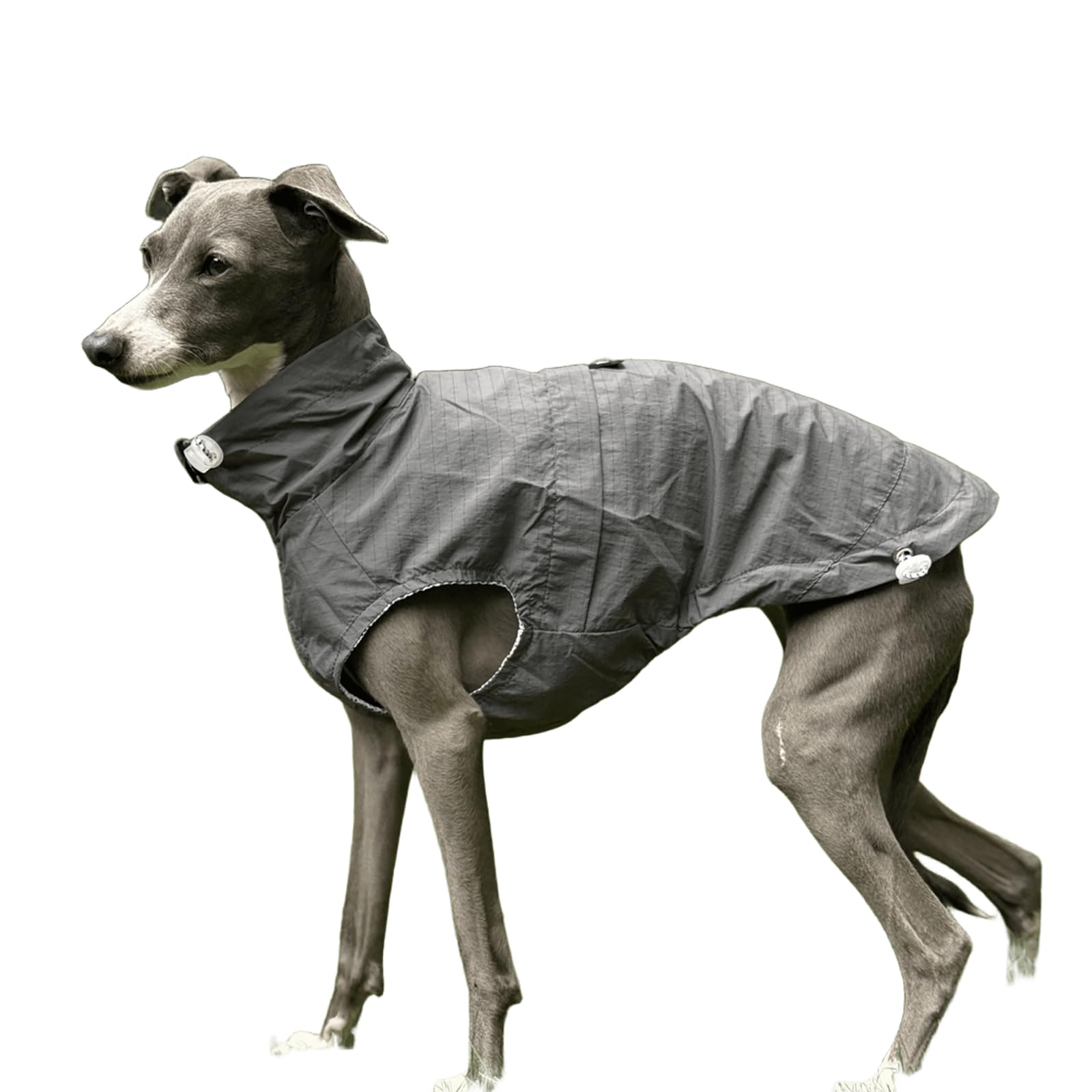 Sonnenschutz Hund Shirt, Sommer Cool Light Jacke Mit Reißverschluss, Schnelltrocknen Ärmelloses Dünnes T-Shirt Für Greyhound