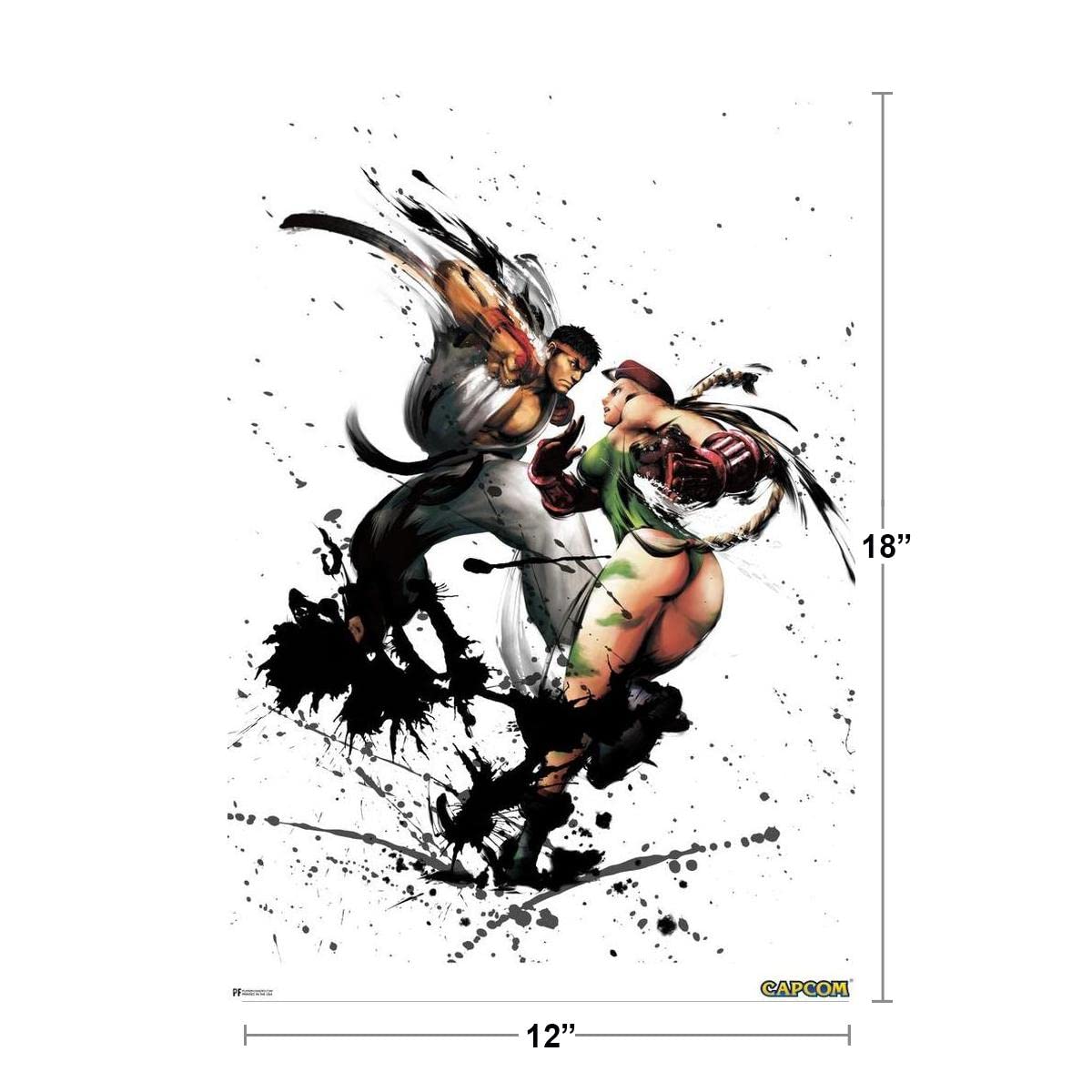 Amazon.com: Street Fighter Ryu vs Cammy Ink Art CAPCOM Video Game