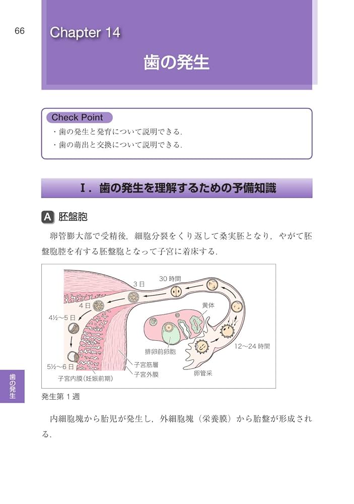 口腔組織・発生学 第2版 口腔組織・発生学第2版 | 脇田 稔, 前田 健康, 中村 浩彰, 網塚