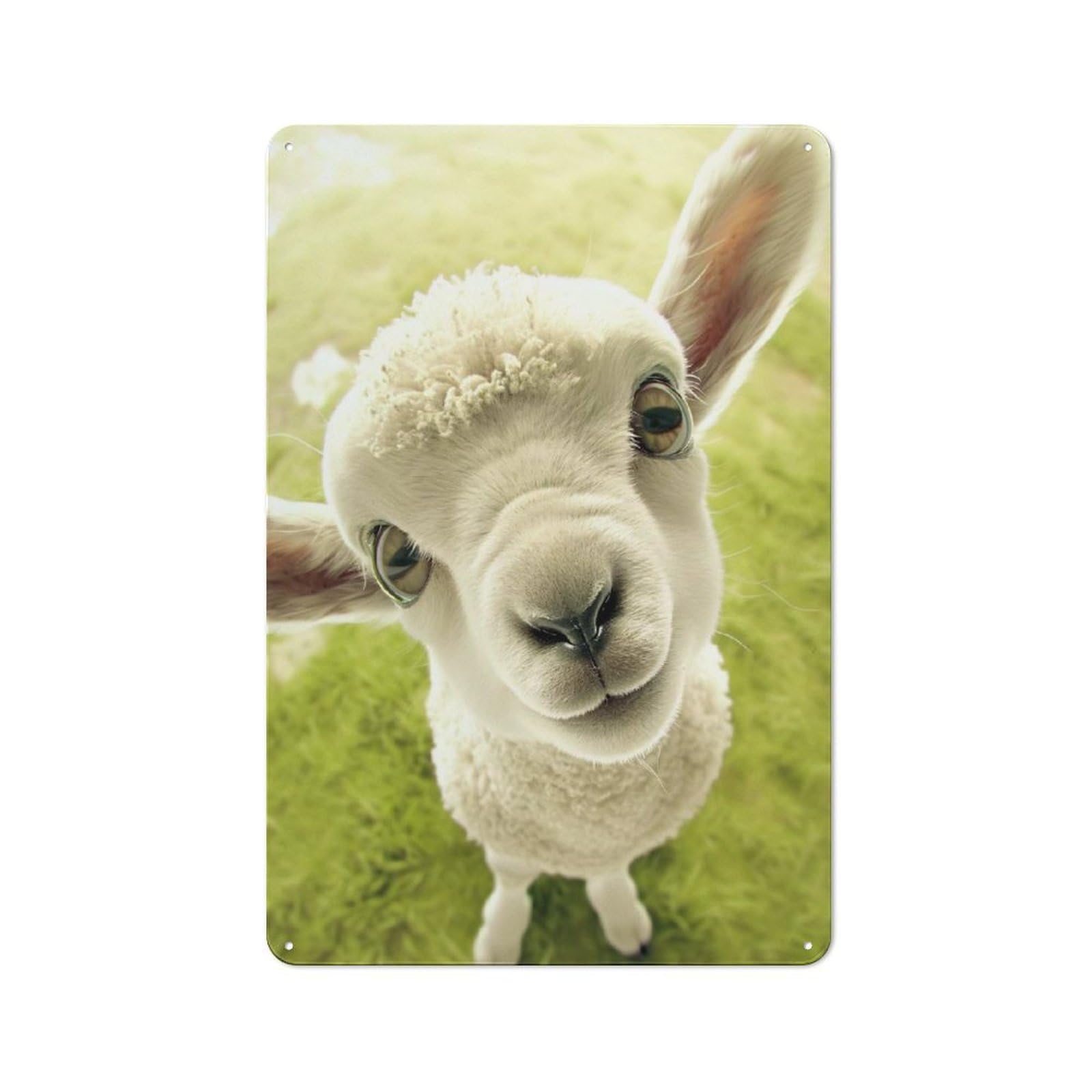 Junmoney Style-9 Rustic Tin Sign 30X20cm Featuring Lamb With Big Eyes For Living Room Wall, For Room Styling Across Living Rooms And Feature Walls