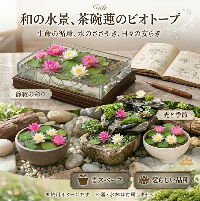 Amazon.co.jp: 茶碗蓮の種 10粒＋予備2粒 ミニハス ハスの種 ミックス