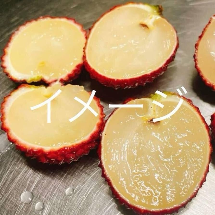 希少！ タネ無しライチ 接木苗 レイシ 種無し compass1688704044.jpg
