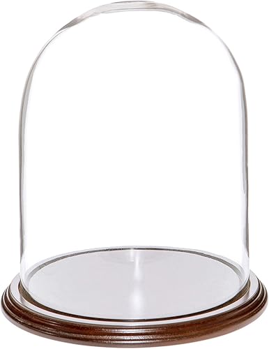 Plymor Cúpula de cristal de 8" x 10.25" (base de chapa de caoba oscura)