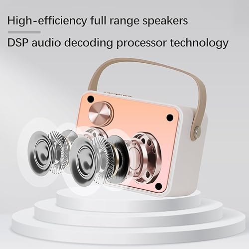 Miniatura 4 de LEMEGA Máquina de karaoke con micrófono inalámbrico, altavoz Bluetooth portátil, sistema de karaoke estéreo, compatible con tarjeta TFUSBAUX,