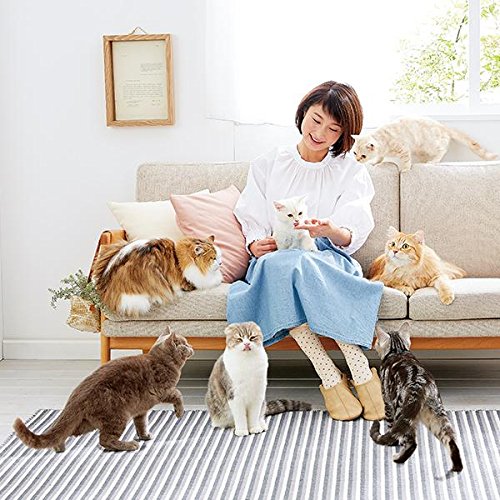 Amazon | にゃろみ かつお 20本 10g 無添加 猫 おやつ 乳酸菌 水分補給