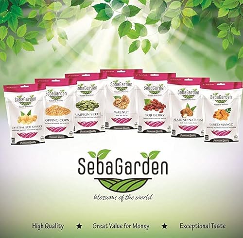 Seba Garden- Medjoul Datteln in Premiumqualität – 1000 g Große Medjool-Datteln