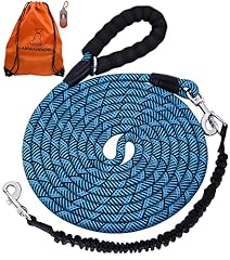 New Blue with Bungee