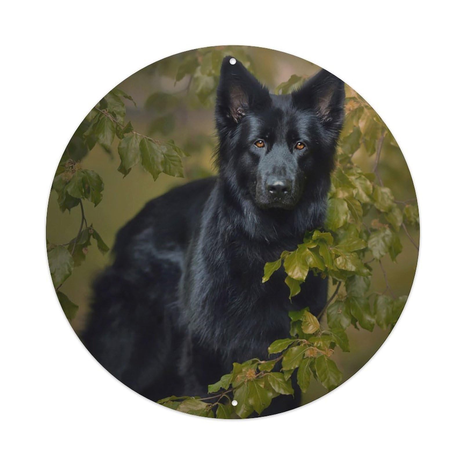 Loyalist Pet Dog Poster Warm German Shepherd Metal Tin Sign